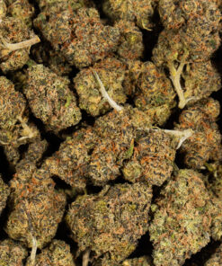 TROPIC-THUNDER-224G-AAAA-5.jpg