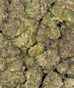 ACE-KILLER-OG-5.jpg