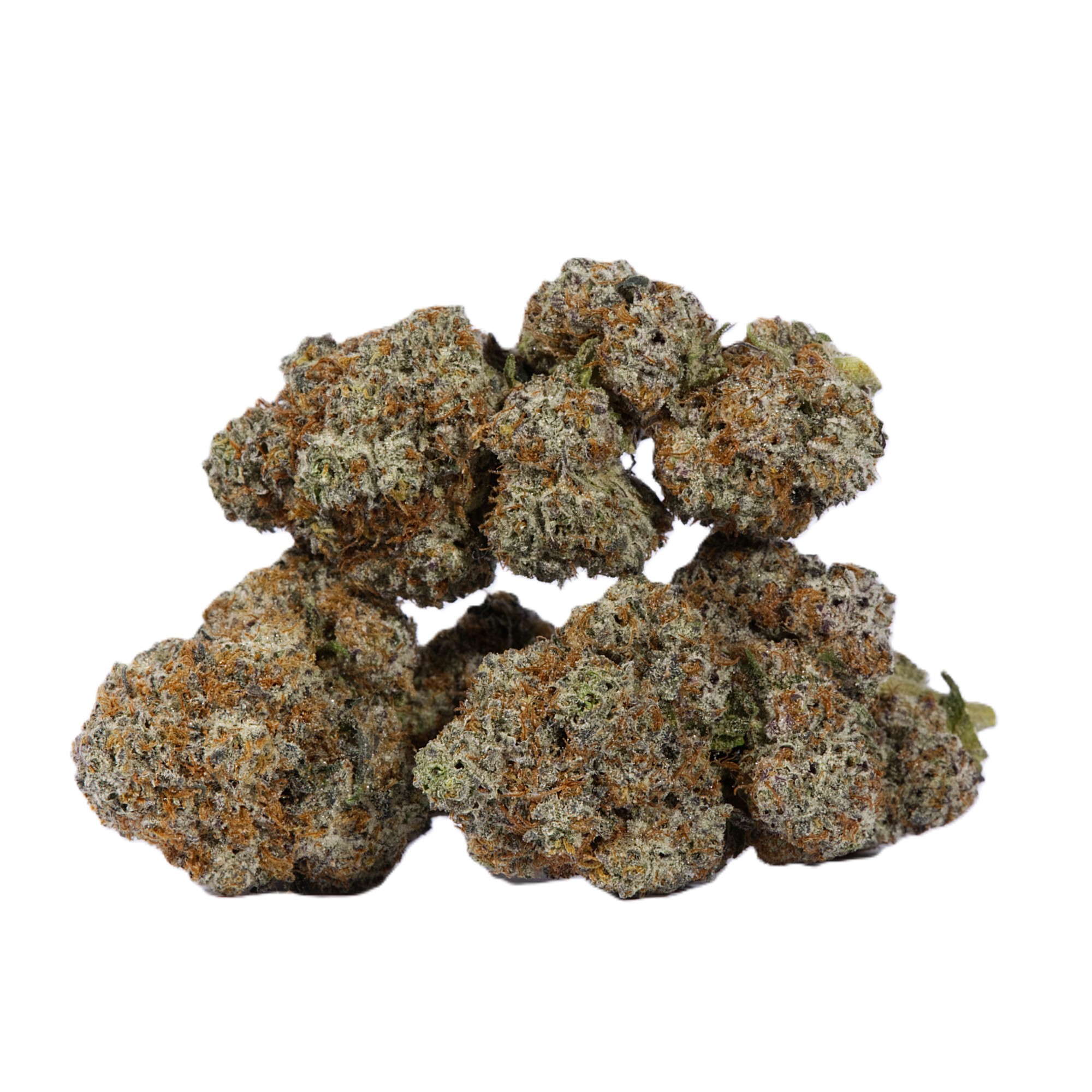 CACTUS-2.jpg