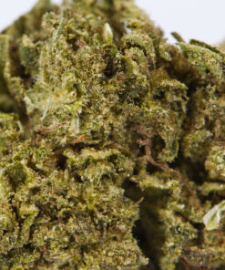 CHERRY-OG-4.jpg