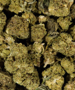 CHERRY-OG-5.jpg