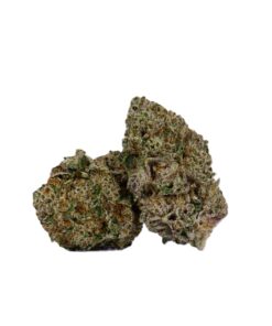 Harlequin (AAAA)